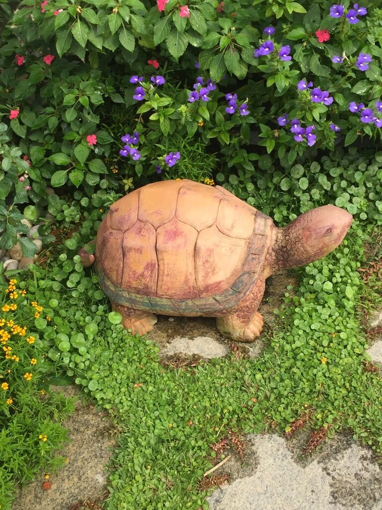 極楽寺の花の咲く植え込みに置かれた亀の像