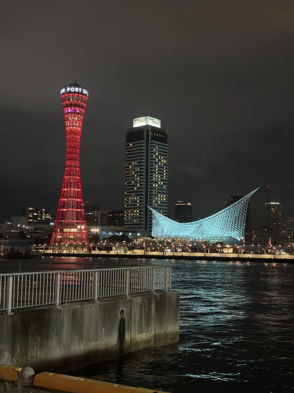 柵の向こうのポートタワーと、青白く光る海洋博物館の屋根