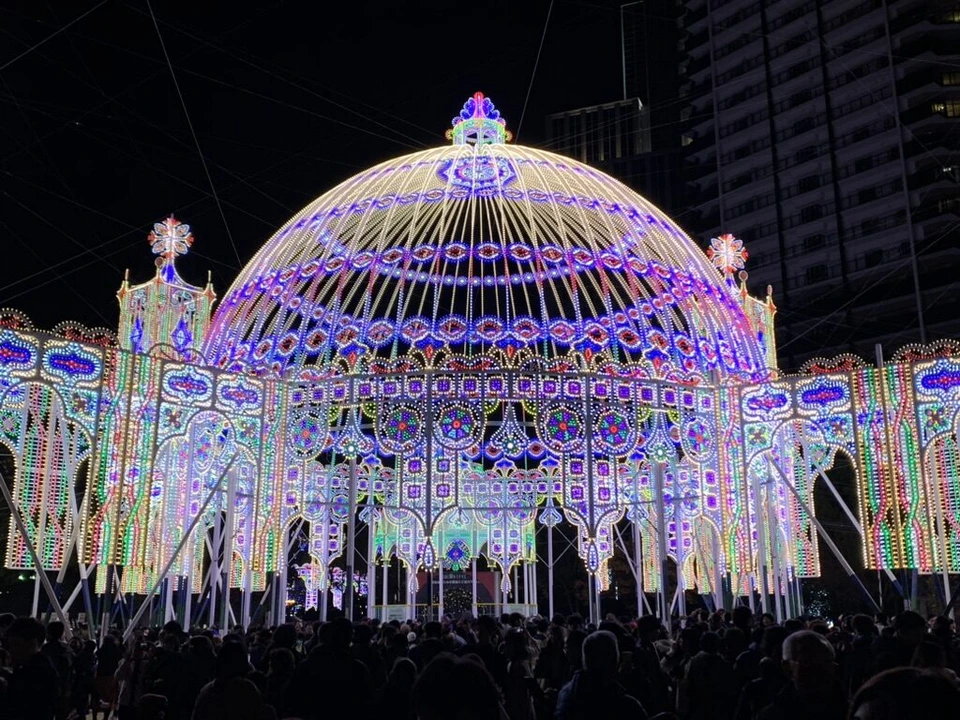 東遊園地のドーム形の作品に近づいたところ。紫と白の電球の骨組み