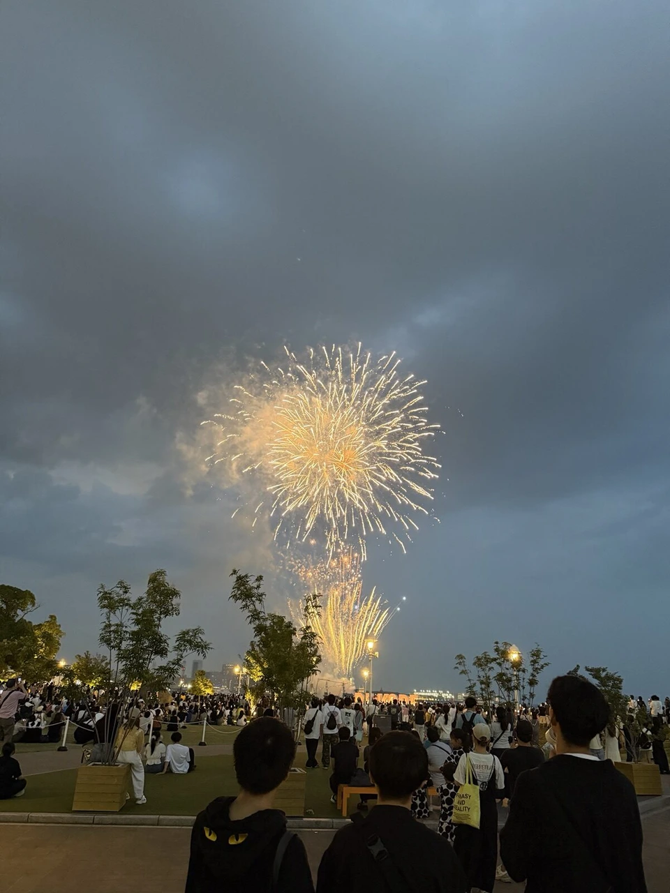曇り空に大きく開いた金色の花火と、下に上がる細い花火。手前の芝生に見物客の後ろ姿