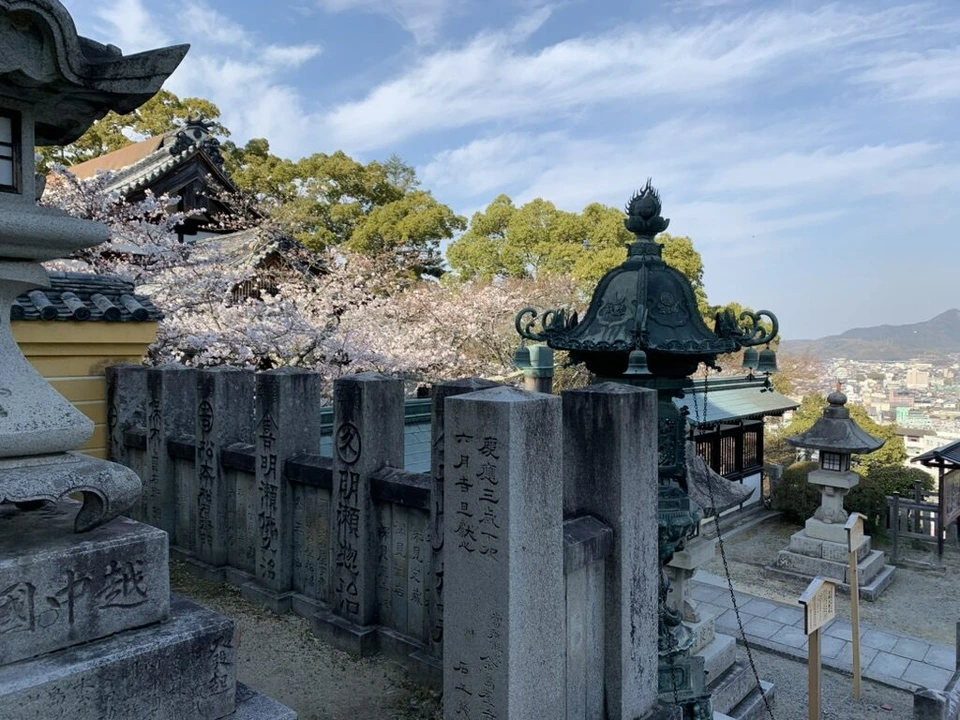 金刀比羅宮の境内の石灯籠と玉垣、その奥に咲く白い桜と社殿の屋根