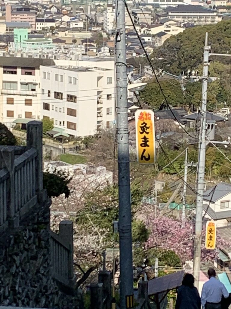 石段の途中から見下ろした琴平の町。「灸まん」の黄色い看板と桜