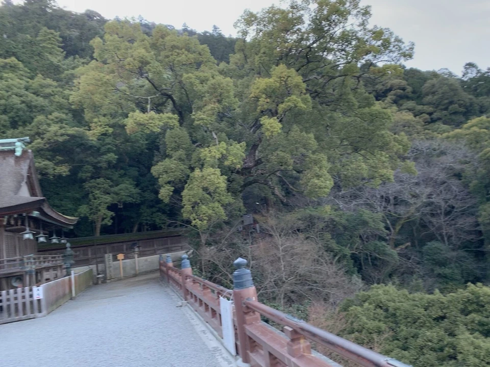 金刀比羅宮の山の上の、赤い欄干の通路と社殿の屋根