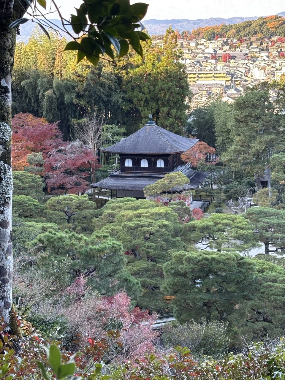 銀閣寺の山側の道から見下ろした観音殿と庭の松、奥に京都の街並み