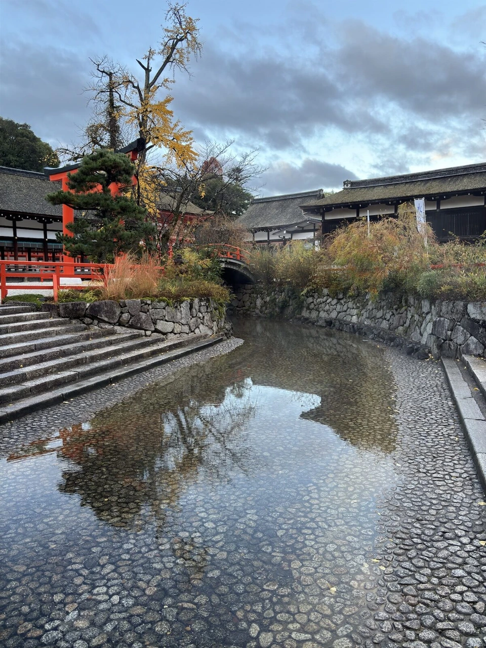 下鴨神社の御手洗川。石畳の底が見える浅い流れと、水面に映る雲