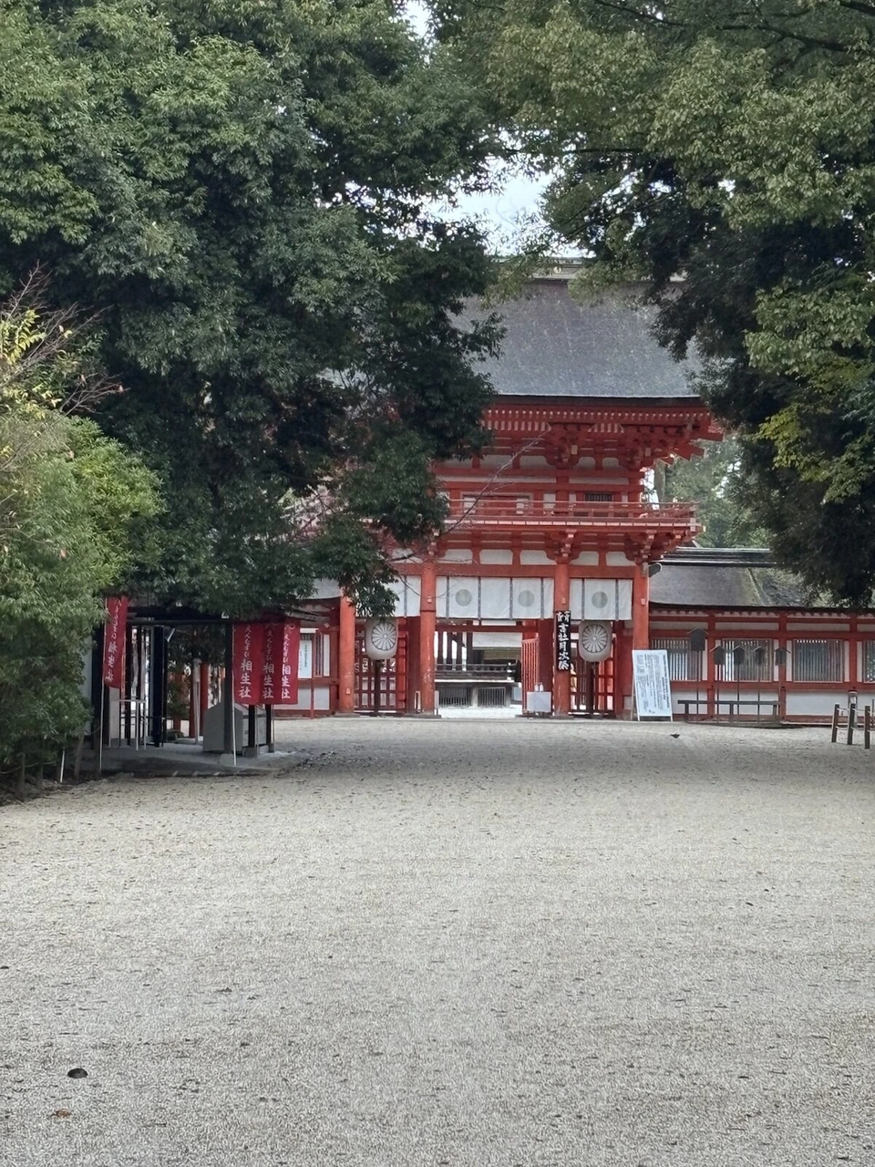木々の間から見た下鴨神社の朱色の楼門と砂利の広場