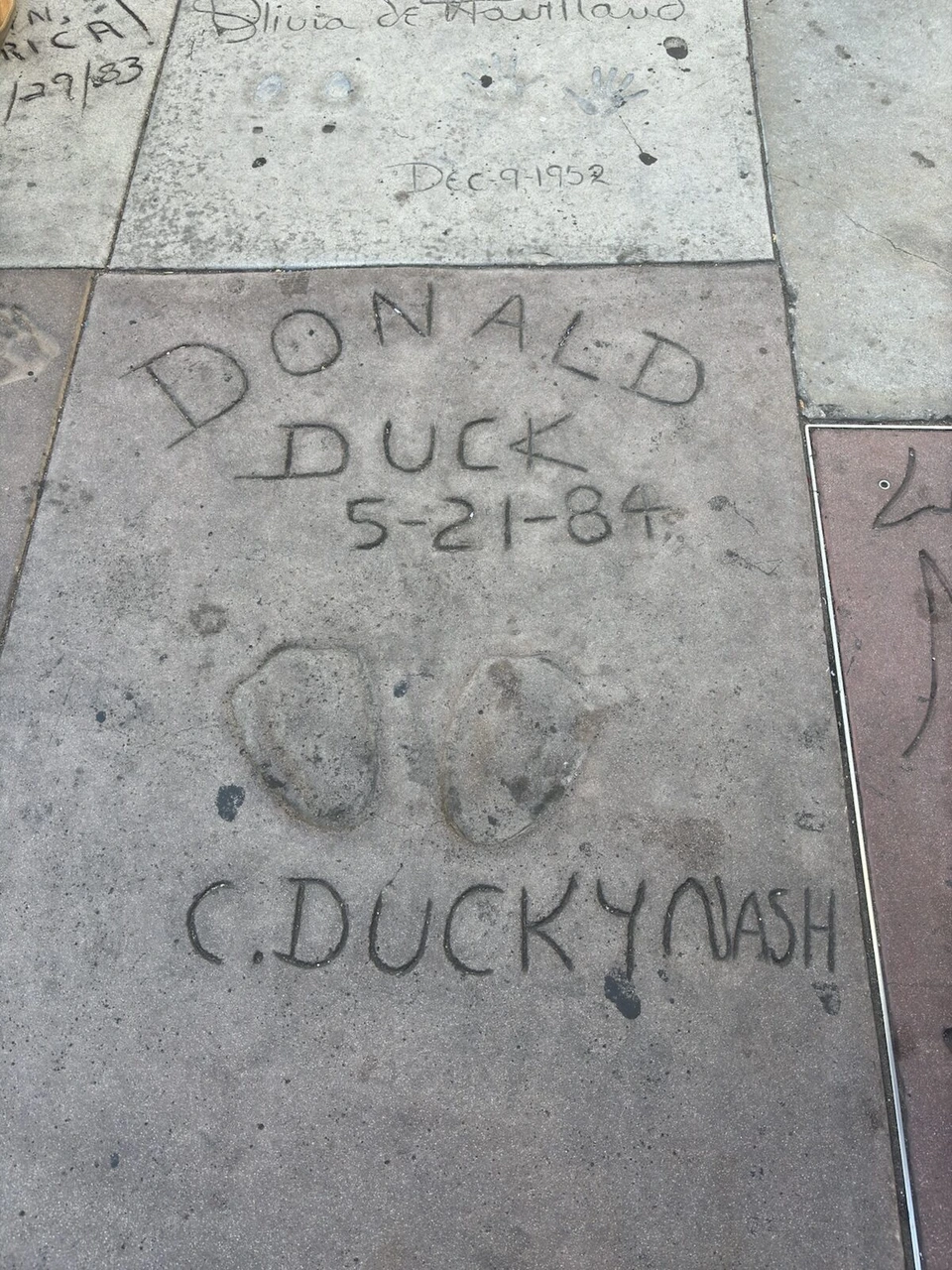 TCLチャイニーズ・シアター前の地面。DONALD DUCK 5-21-84と刻まれた足跡