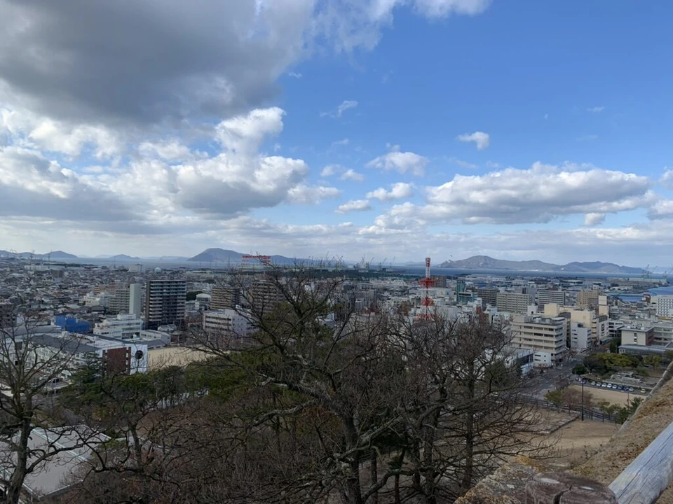 本丸から見た市街地と木々、遠くに山並み