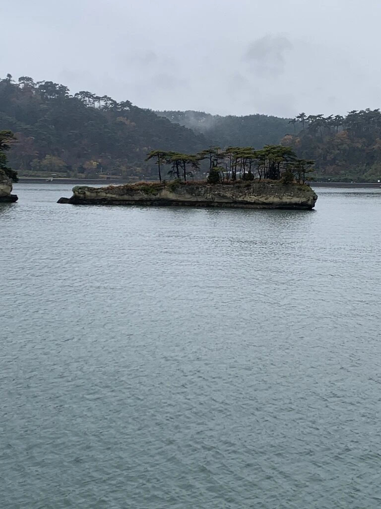 仁王丸から見た、松の木が生えた平らな小島