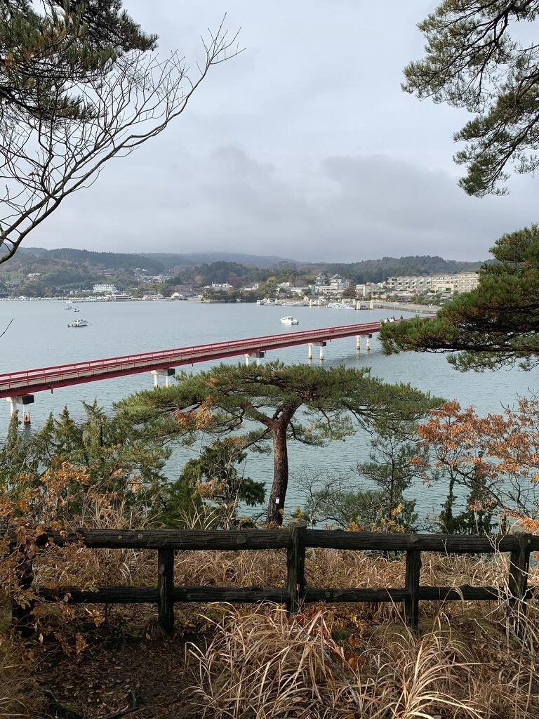 松の木の向こうに見える福浦橋と船