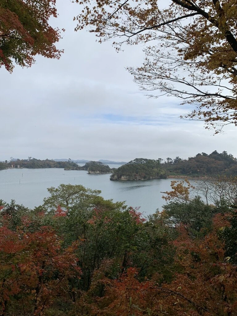 赤や橙に色づいた木々と松島湾の島