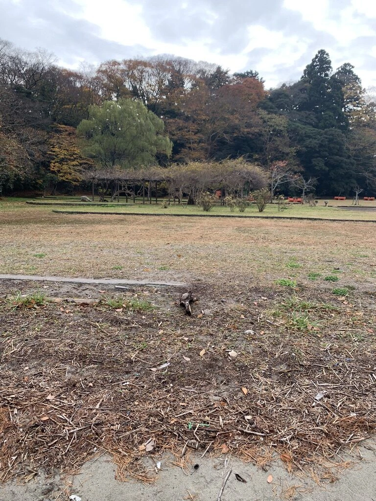 福浦島の中の芝生の広場と木々