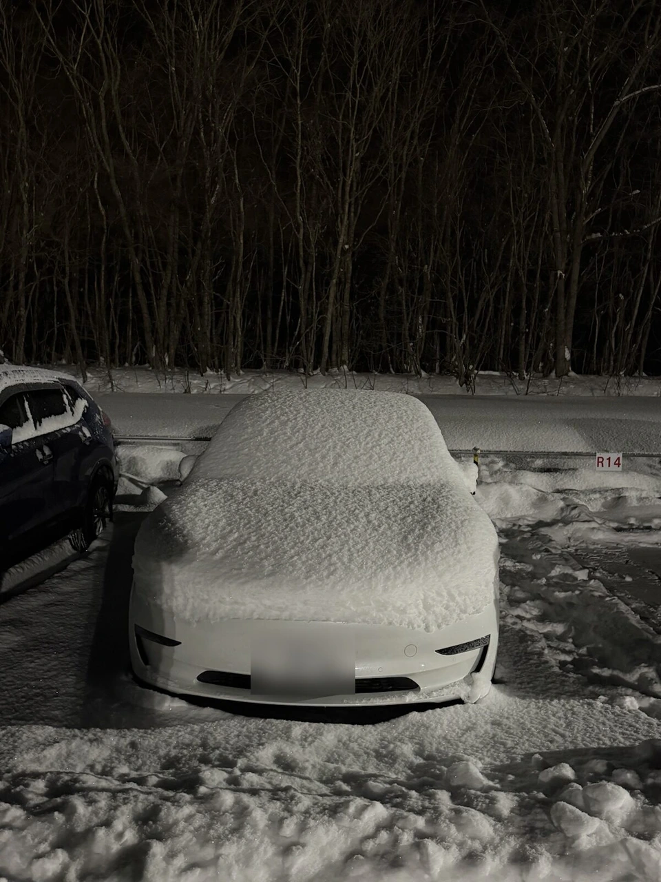 夜の駐車場で、屋根からボンネットまで雪にすっぽり覆われた白い車。奥は雪の積もった林