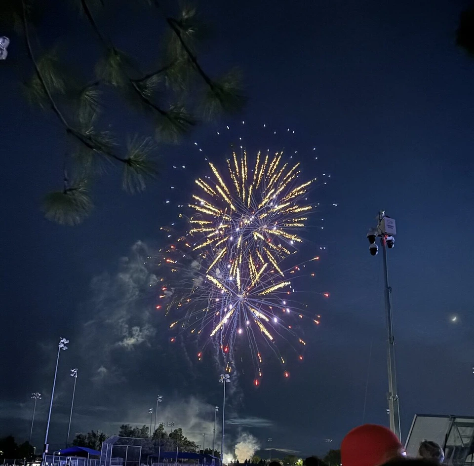 オレムフェストの夜空に上がる白い花火と、松の枝、グラウンドの照明塔