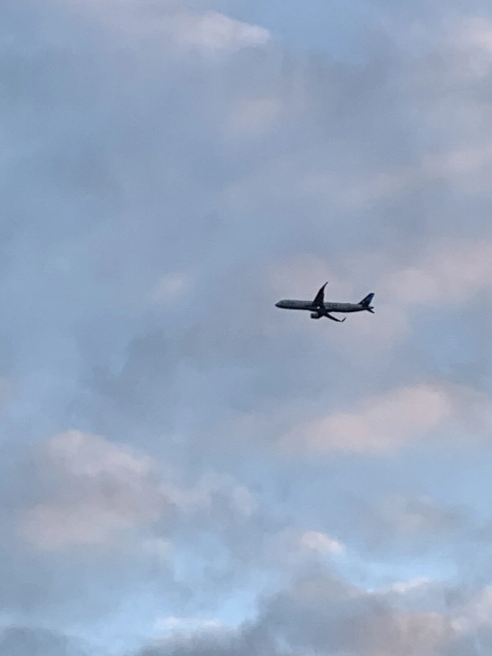 夕方のうす曇りの空を飛ぶ旅客機