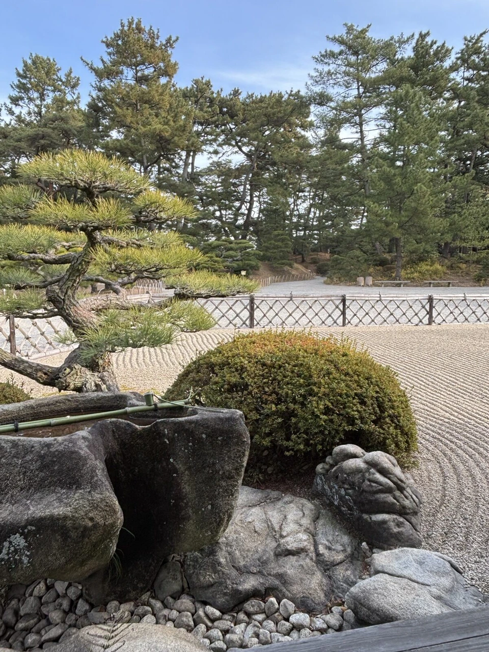 栗林公園の白砂の庭。手前に石の手水鉢と丸く刈り込んだ低木、奥に形を整えた松