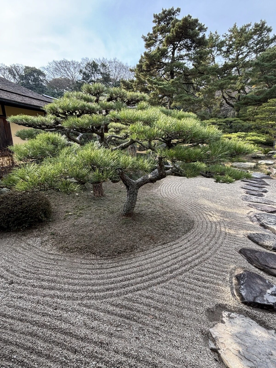 栗林公園の白砂の中に1本立つ松と、それを囲むように並ぶ飛び石