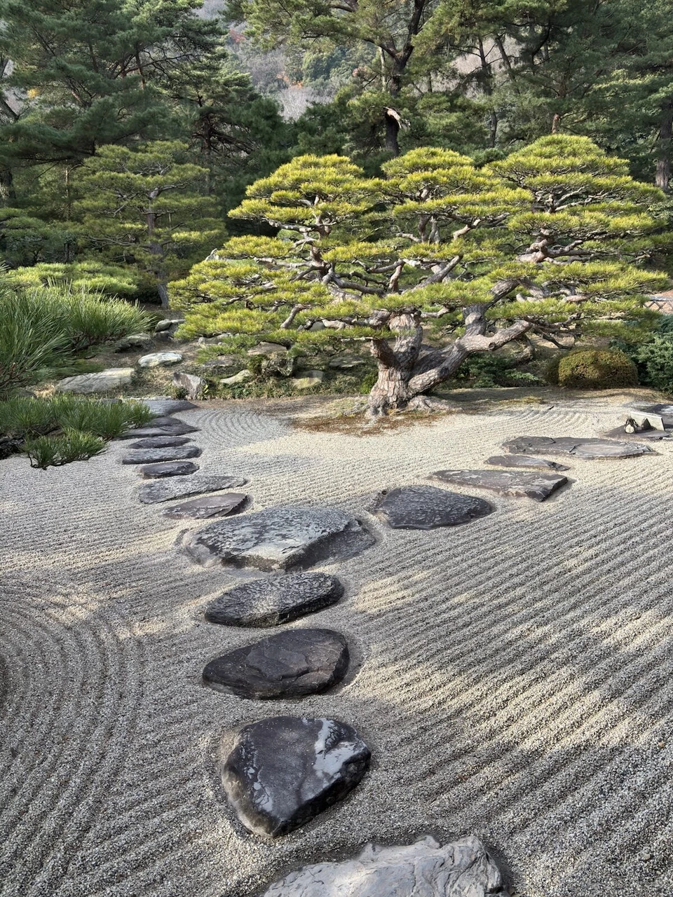 栗林公園の白砂に描かれた波のような模様と、点々と続く黒い飛び石。奥に枝を横に広げた松