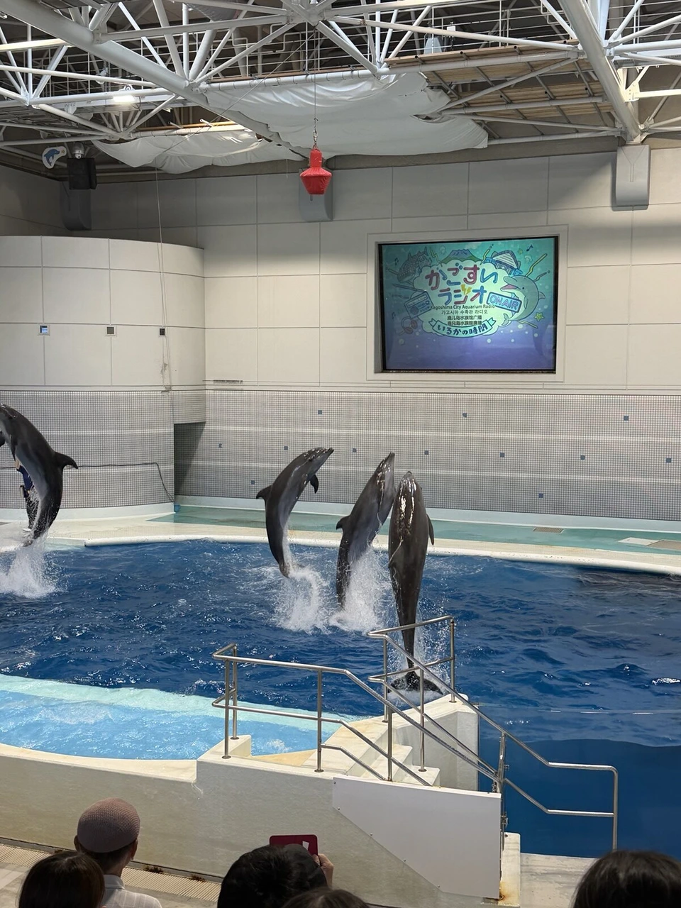 いおワールドかごしま水族館のイルカショーで、4頭のイルカが同時に水面から飛び出しているところ