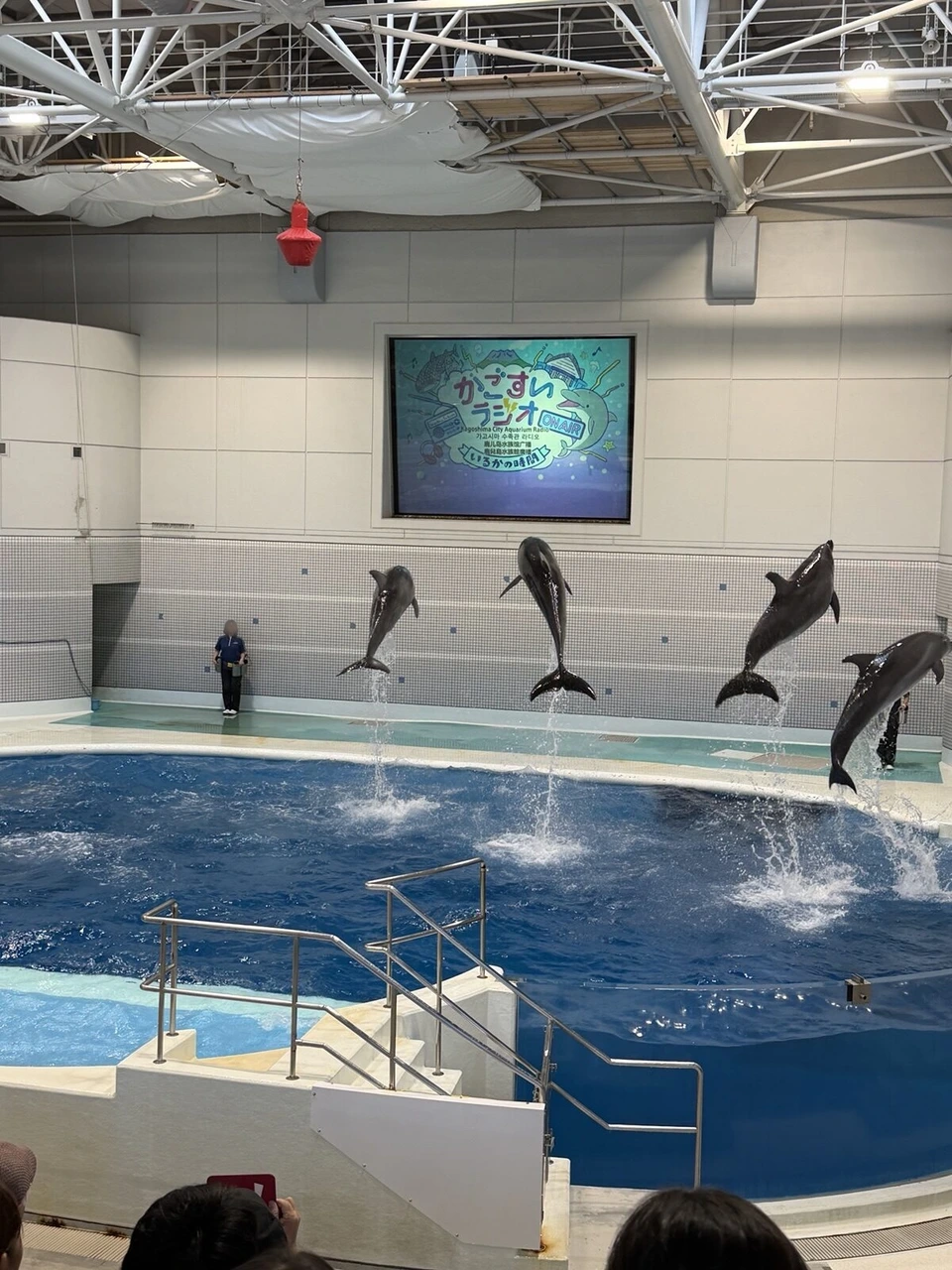 いおワールドかごしま水族館のイルカプールで、水しぶきの上を一斉に跳ぶ4頭のイルカ