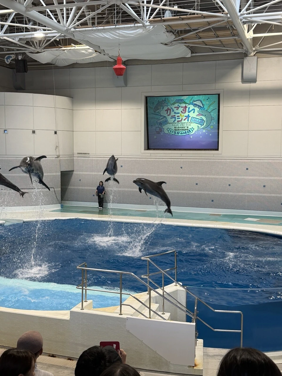いおワールドかごしま水族館のイルカプールの上を高く跳ぶ3頭のイルカと水しぶき