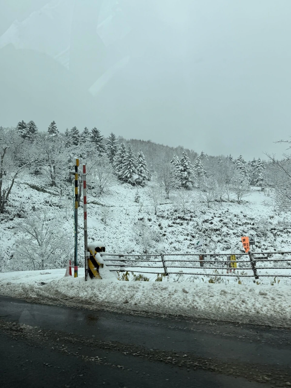 車窓から見た雪をかぶった針葉樹の斜面と道路標識