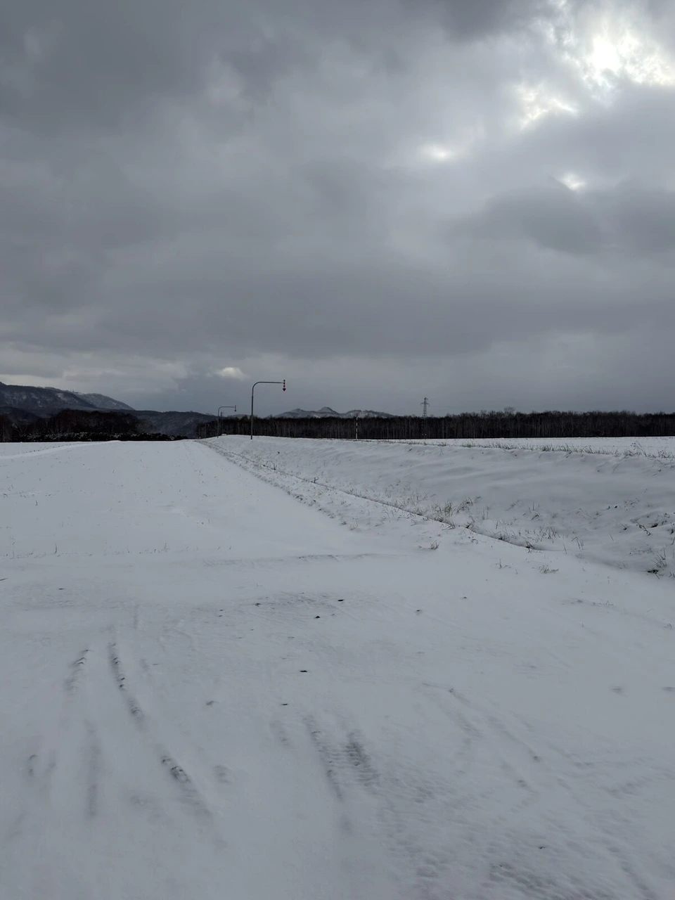 喜茂別の手前の一面の雪原と曇り空、遠くに街灯と山並み