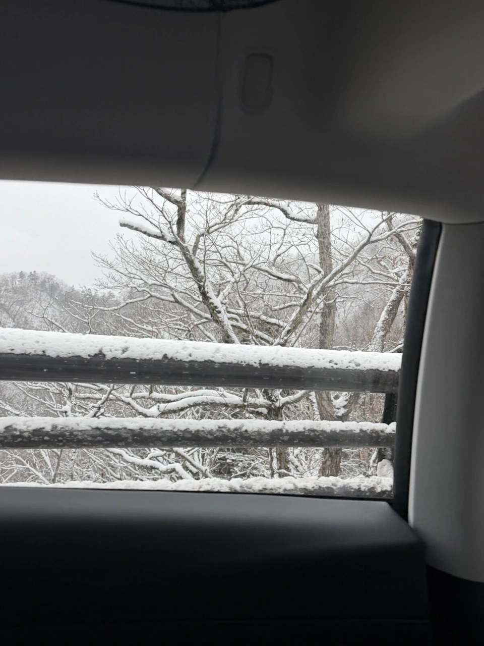 支笏湖から喜茂別へ向かう道で、車の窓から見た雪の積もった橋の欄干と木々