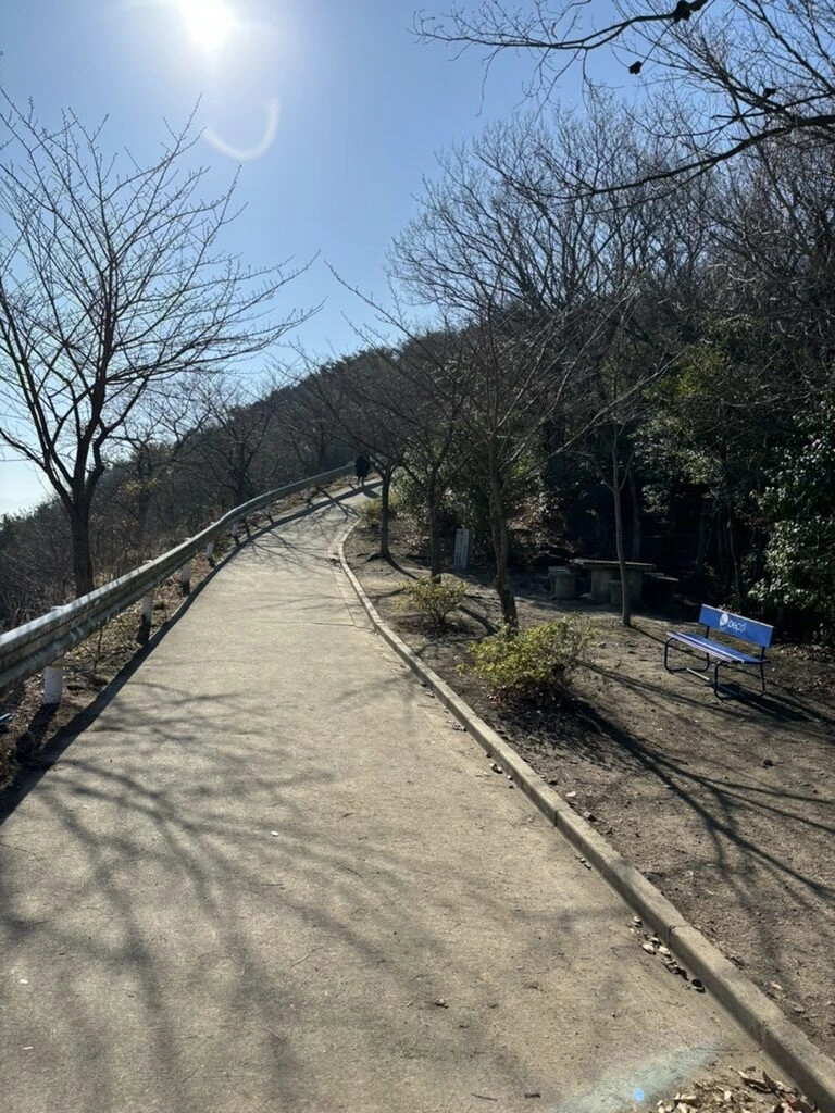稲積山の山頂付近の遊歩道。ベンチと手すりがある