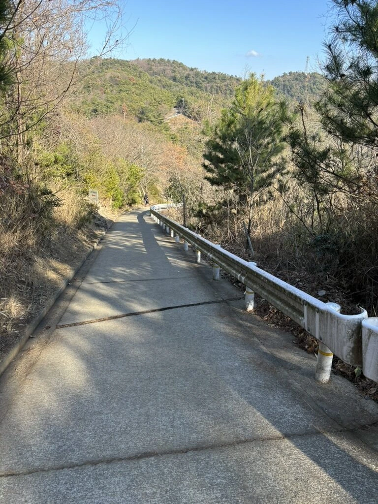 高屋神社本宮の手前の、ガードレールの付いた細い舗装路。両側は冬枯れの木と山