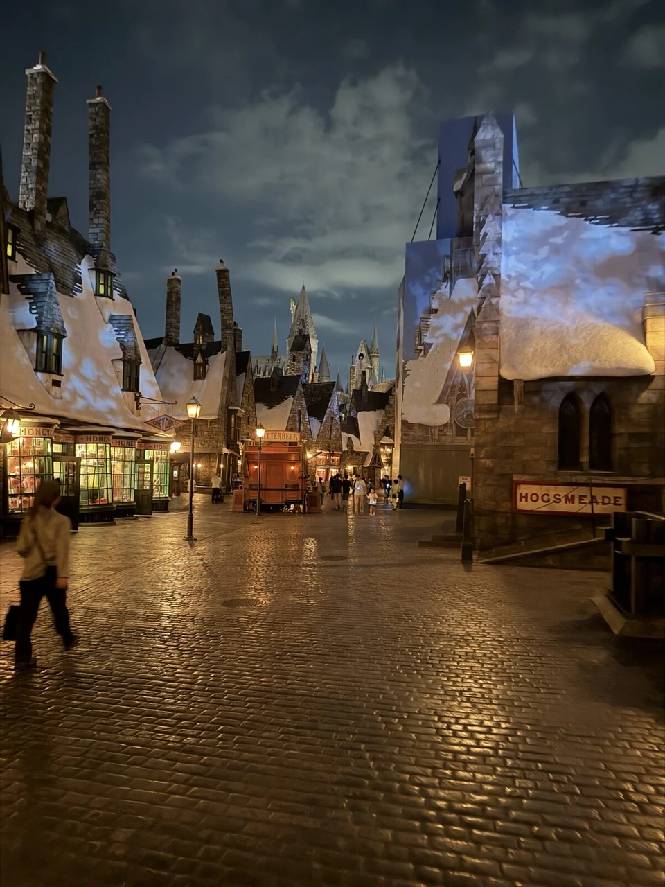 夜のホグズミード村。雪をかぶった屋根に光が映され、石畳が濡れたように光っている
