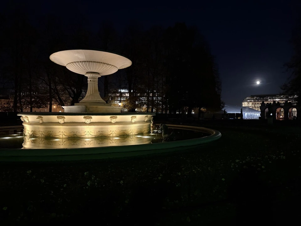 夜のサスキ公園で、ライトアップされた大きな噴水