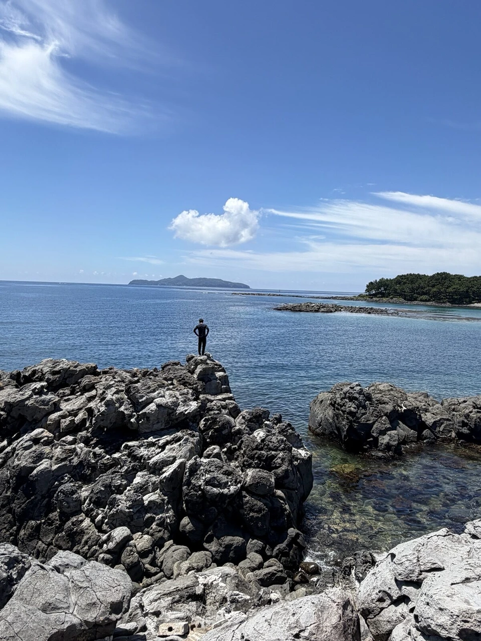 波戸岬近くの広い岩場の先に小さく立つ人と、沖の島