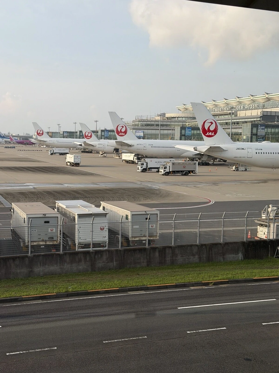 早朝の羽田空港。駐機場に並ぶJALの機体と、手前の道路