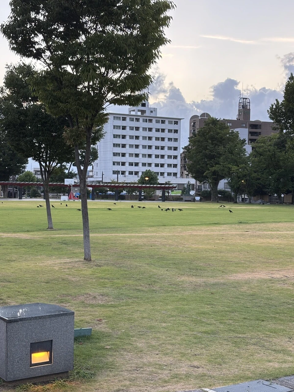 富山城址公園の芝生広場と木々。奥に白いビル