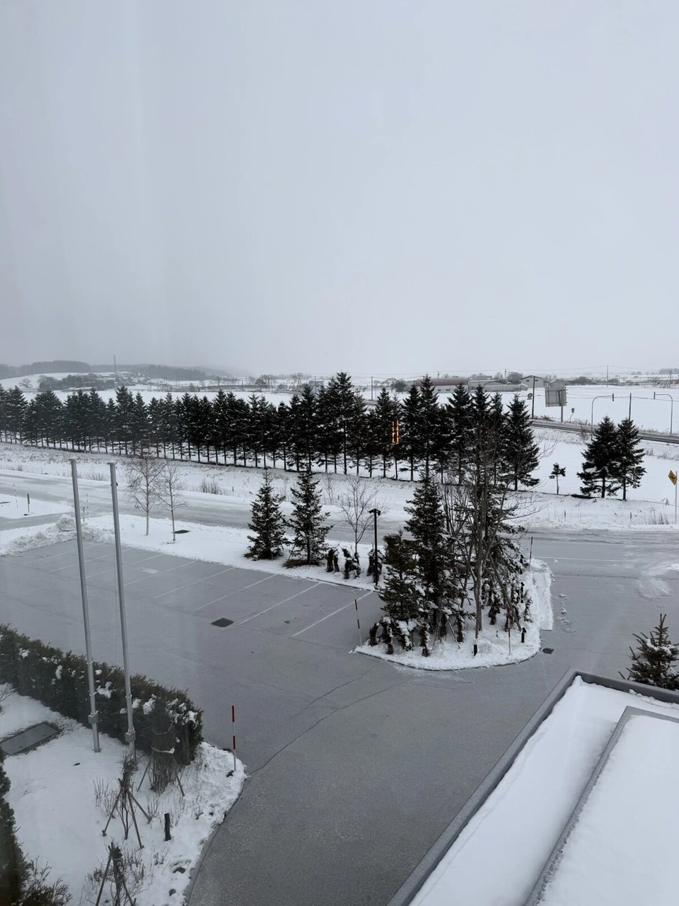 朝の客室の窓から見た雪の駐車場と、針葉樹の並木の向こうに広がる白い畑