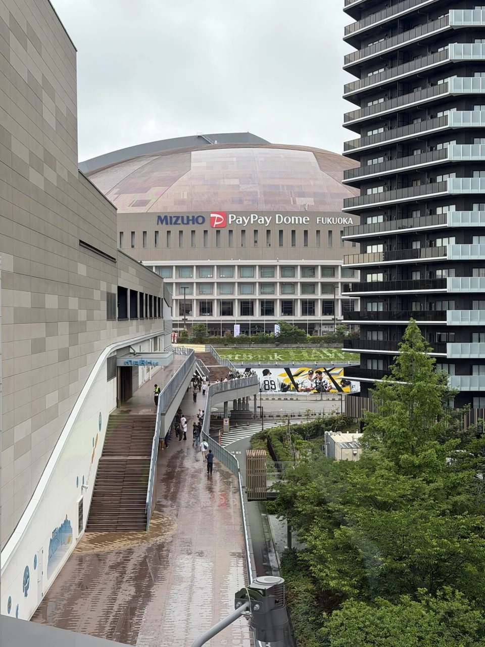 雨に濡れた歩道橋の先にみずほPayPayドーム福岡、右に高層の建物