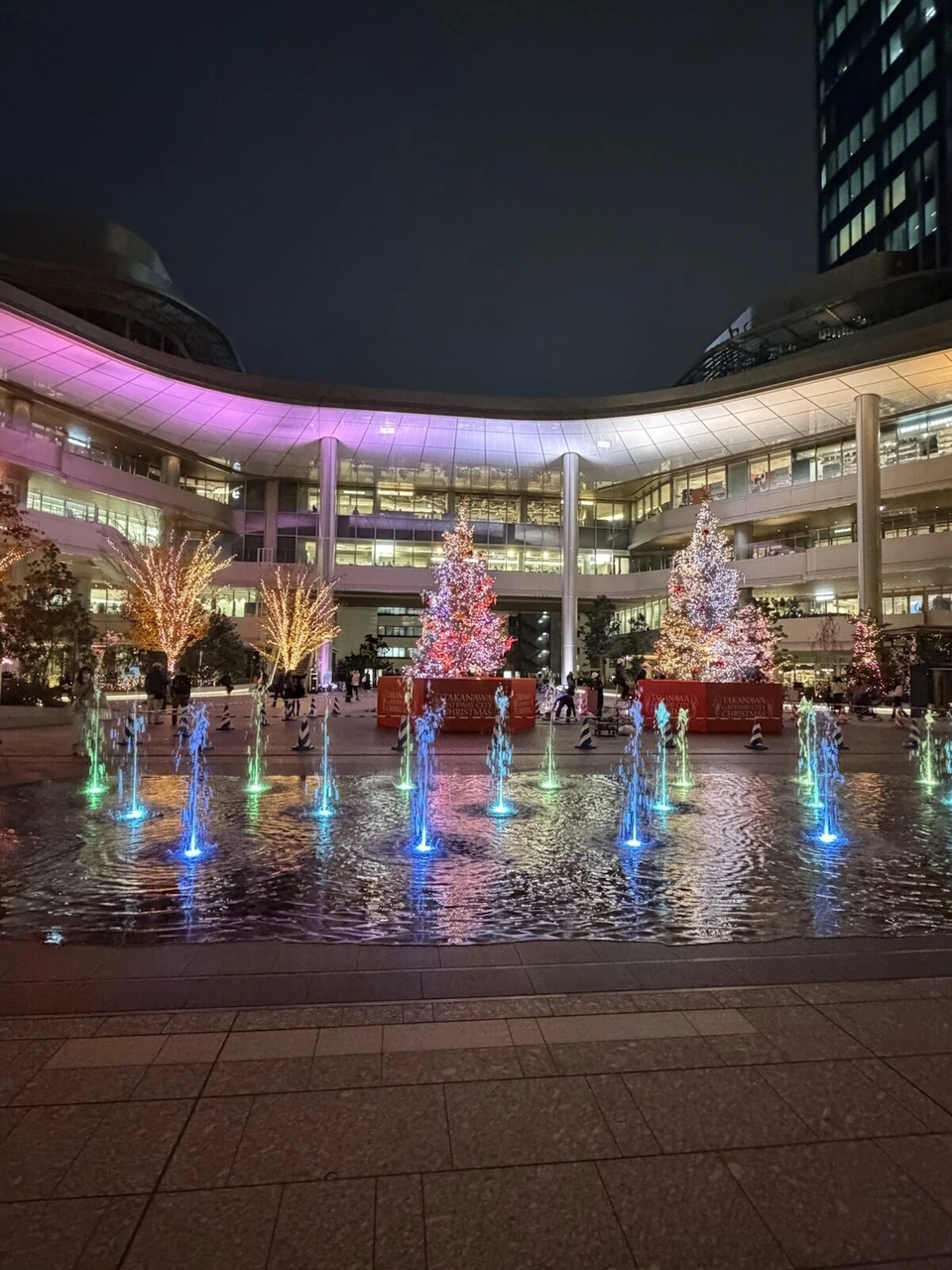 夜の広場の噴水と、ピンクにライトアップされた建物の前の2本のクリスマスツリー