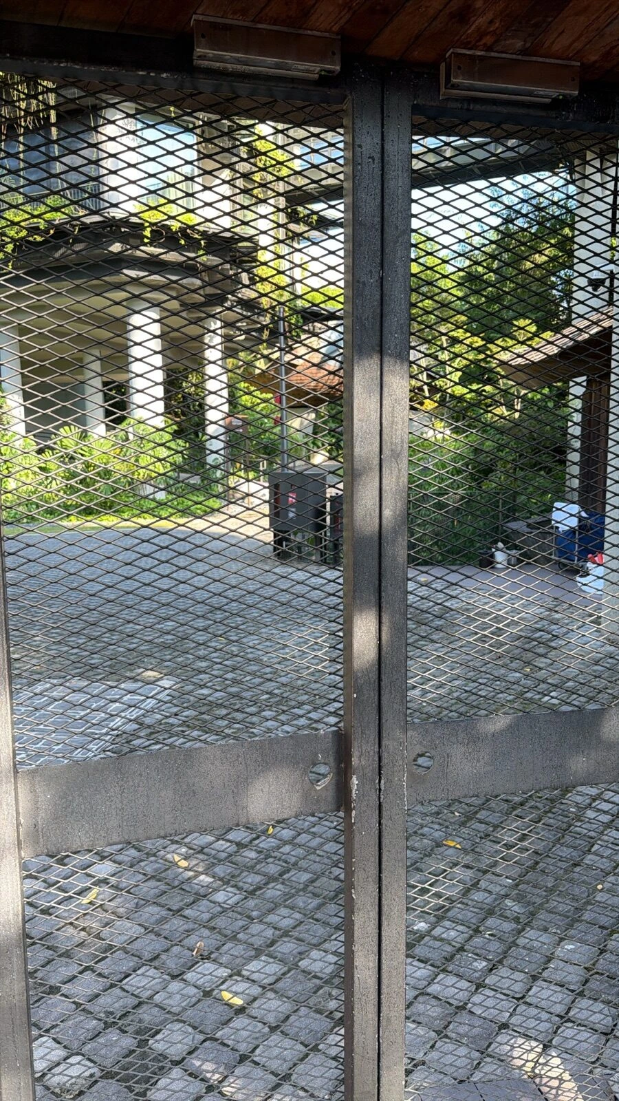 プールの入口の金網の扉越しに見た外の通路