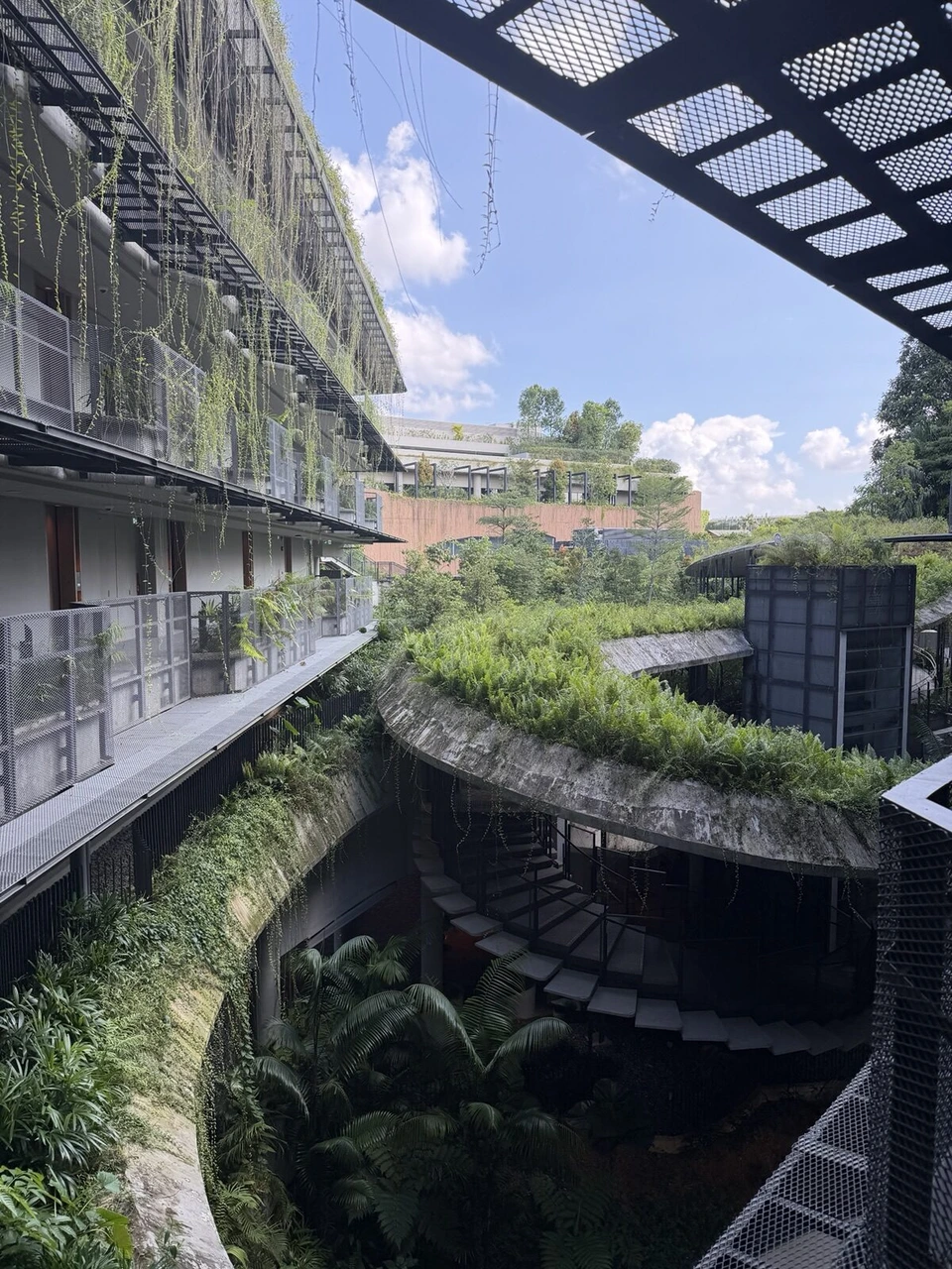客室棟の外廊下から見た中庭。つる植物が垂れる建物と、曲線を描く緑の屋上