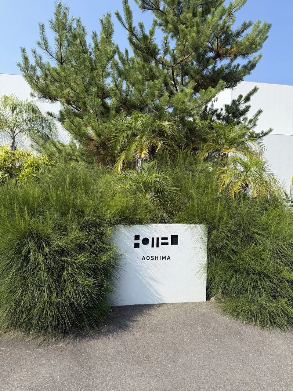 松とヤシに囲まれたNOT A HOTEL AOSHIMAの白い看板