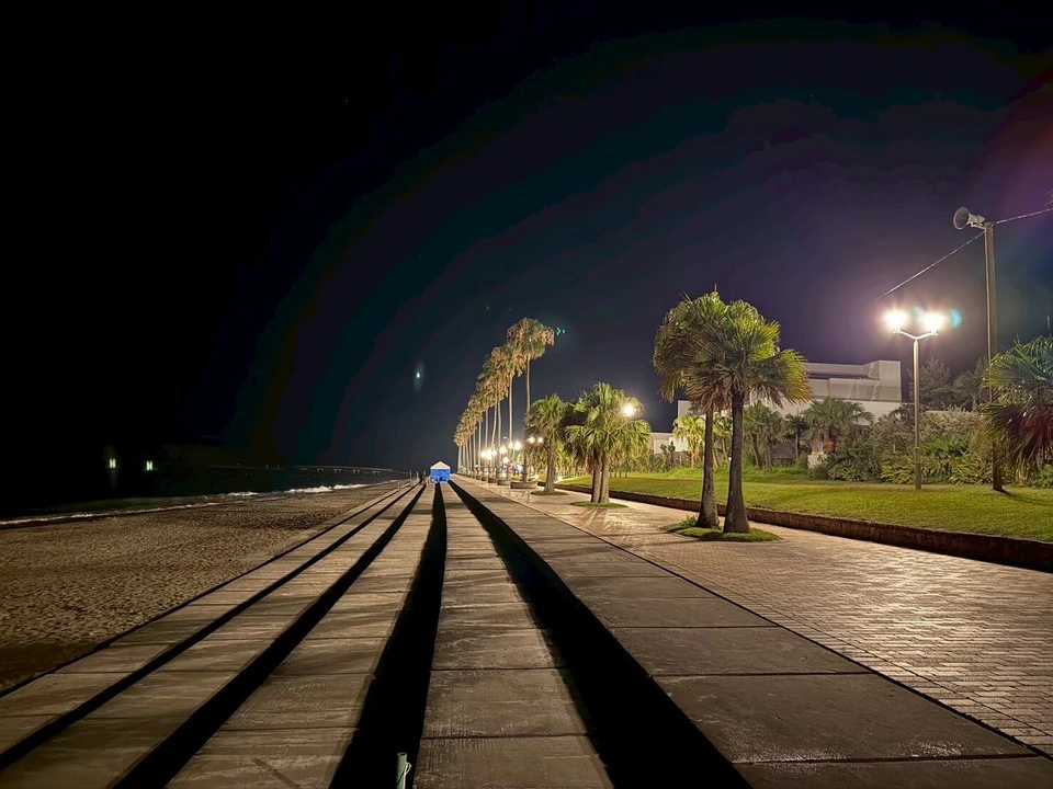 夜の海沿いの遊歩道。街灯とヤシの木が並び、奥まで続く