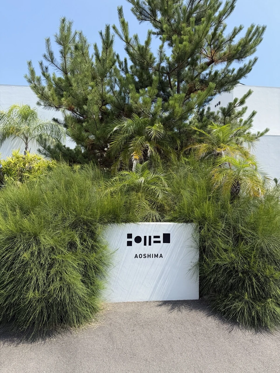 翌朝のNOT A HOTEL AOSHIMAの看板。白い看板の後ろに松とヤシ