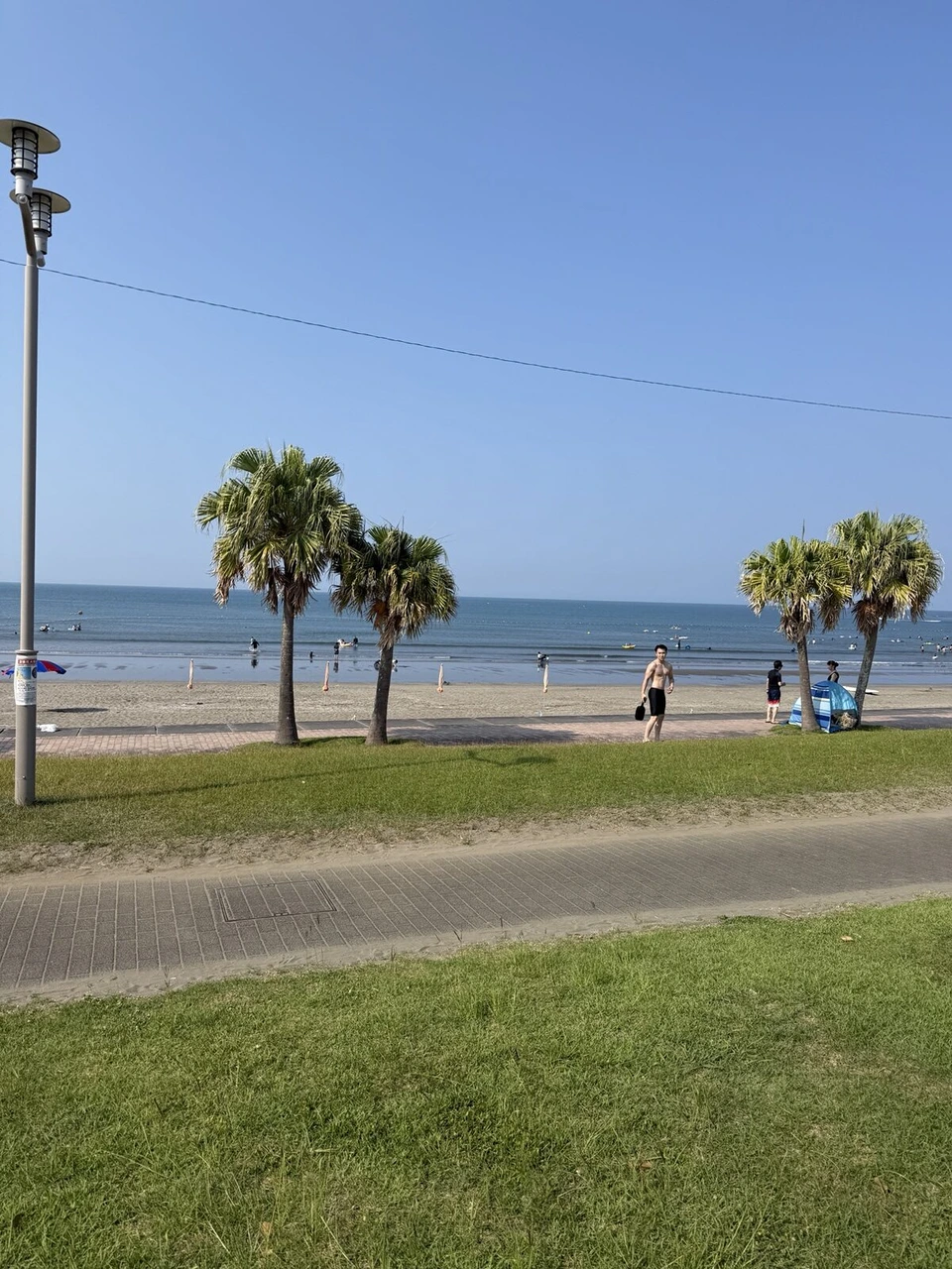 芝生と遊歩道の先にヤシの木が並ぶ青島の砂浜と海。遠くに海水浴の人
