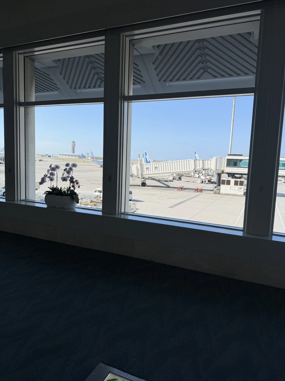 那覇空港ターミナルの窓から見た駐機場とANA機の尾翼、管制塔