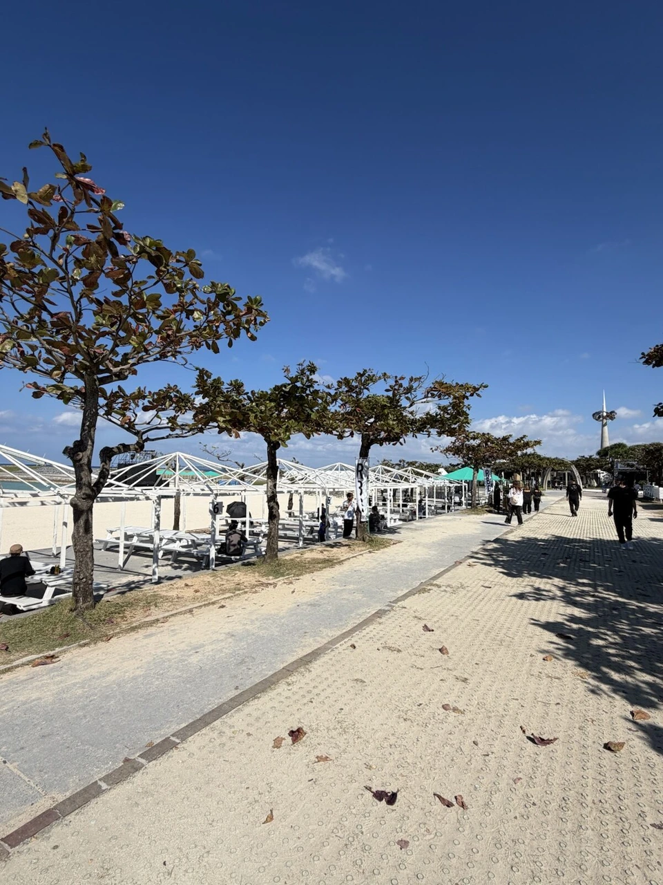 ビーチ沿いの遊歩道。白い骨組みのテーブル席が並び、奥に展望塔