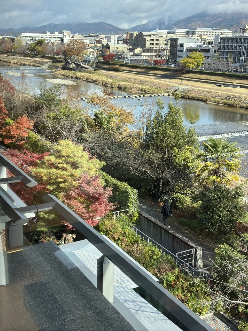 朝の鴨川と川沿いの紅葉、ホテルの庭の木々
