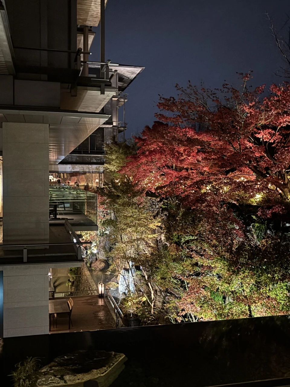 ライトアップされた夜の中庭の紅葉