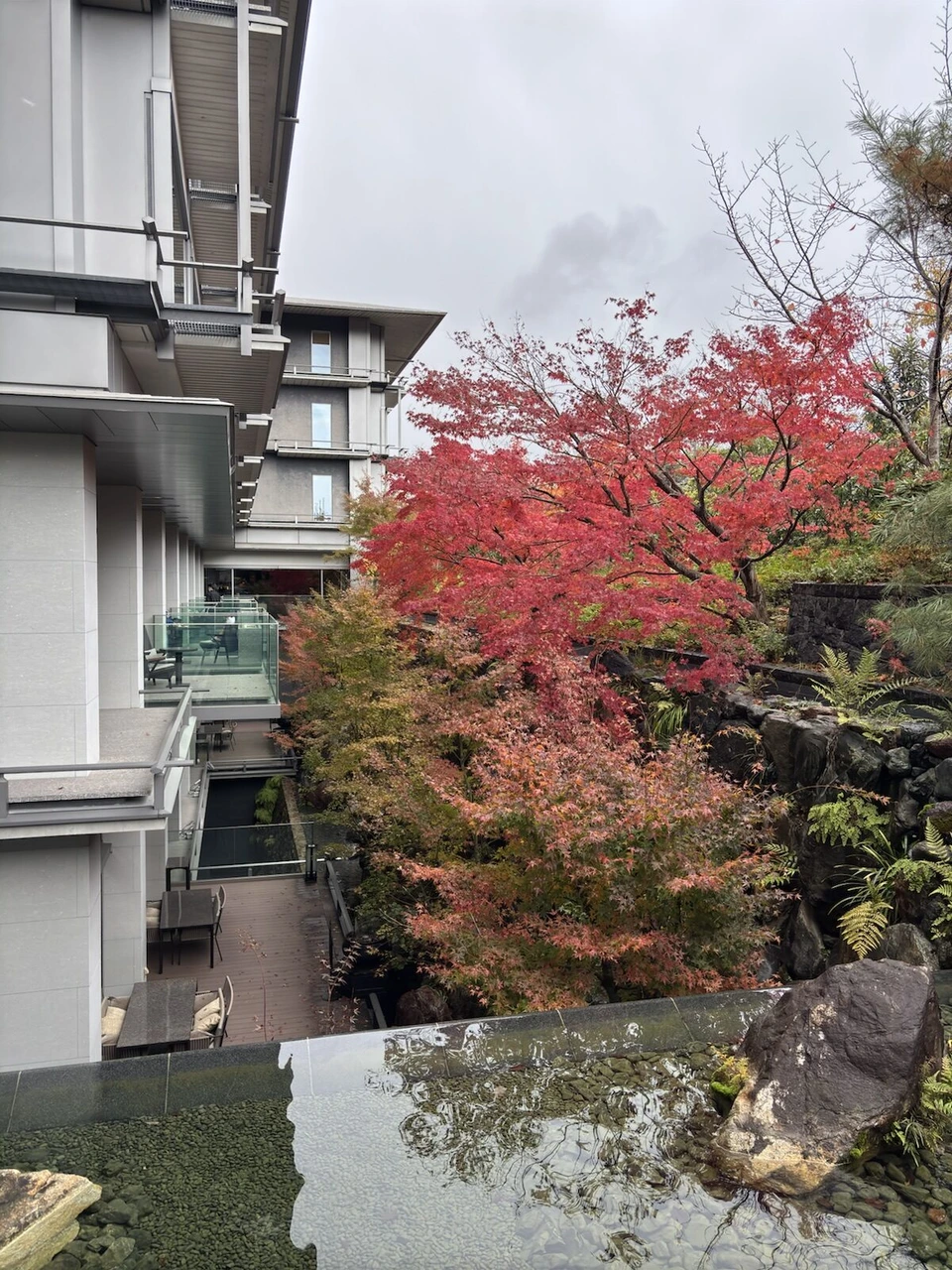 ザ・リッツ・カールトン京都の中庭。真っ赤な紅葉と、白い建物の壁