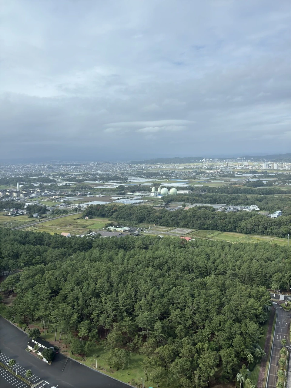高層階から見下ろした松林と宮崎の市街地、遠くの山